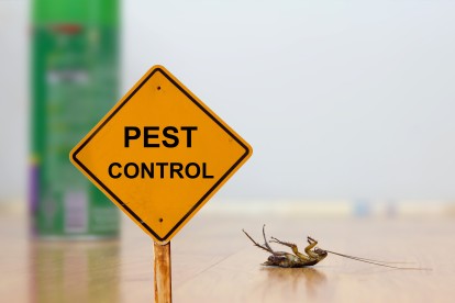 Pest Contol in Banstead, Woodmansterne, SM7. Call Now 020 8166 9746